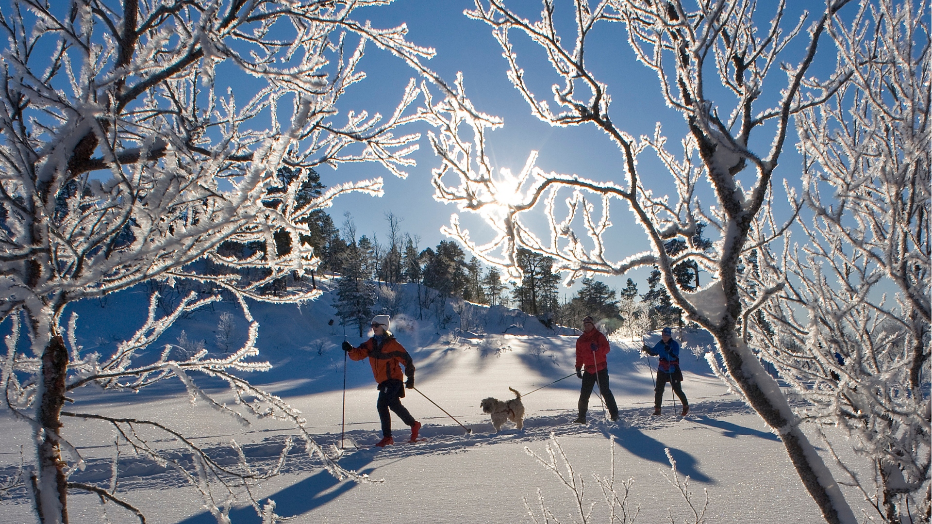 Folk på ski i fjellet.